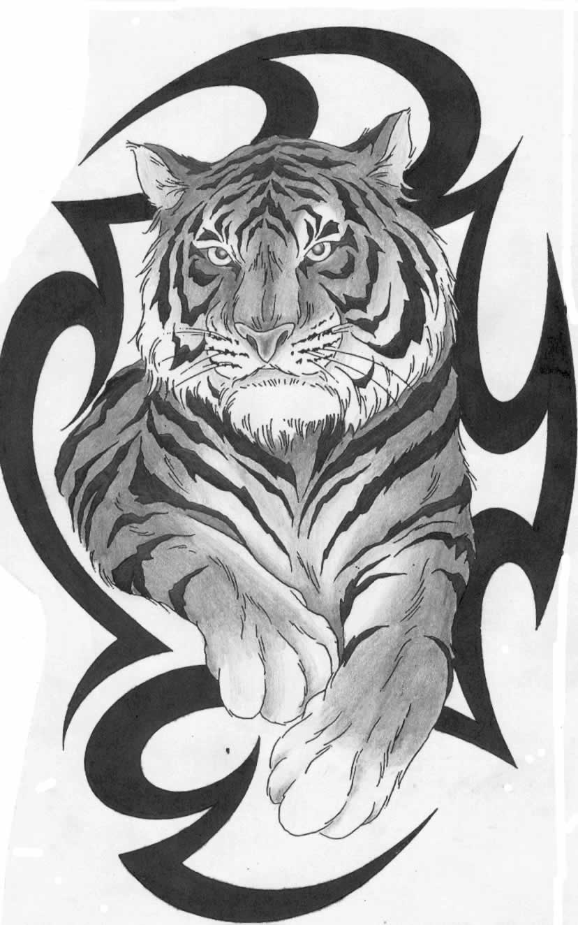 Эскизы тату тигра для мужчин